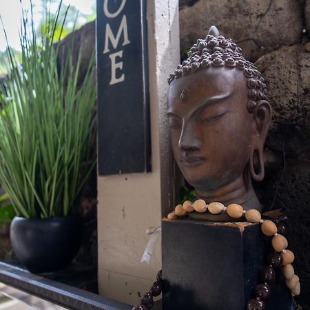 Unit 18 Maui Ohana Modern Studio Wailuku Esterno foto